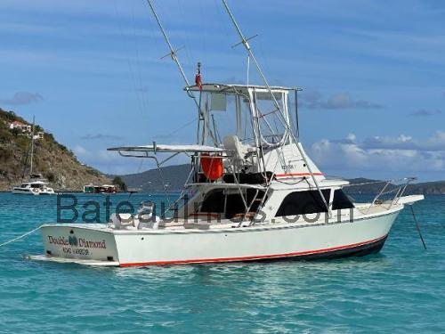 Bertram 31 Sportfish fiche technique et avis